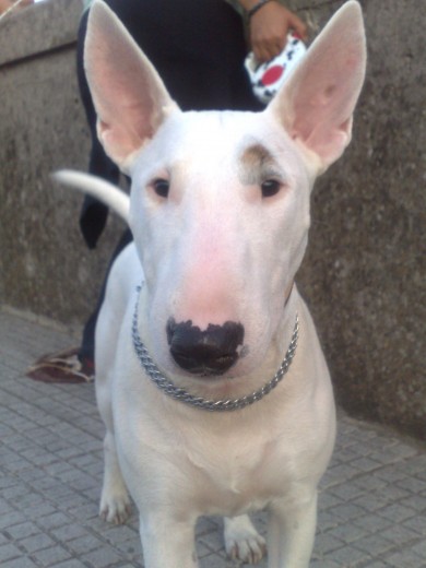 Es una verdadera azaña conseguir fotos de ella, no le gustan!!!!